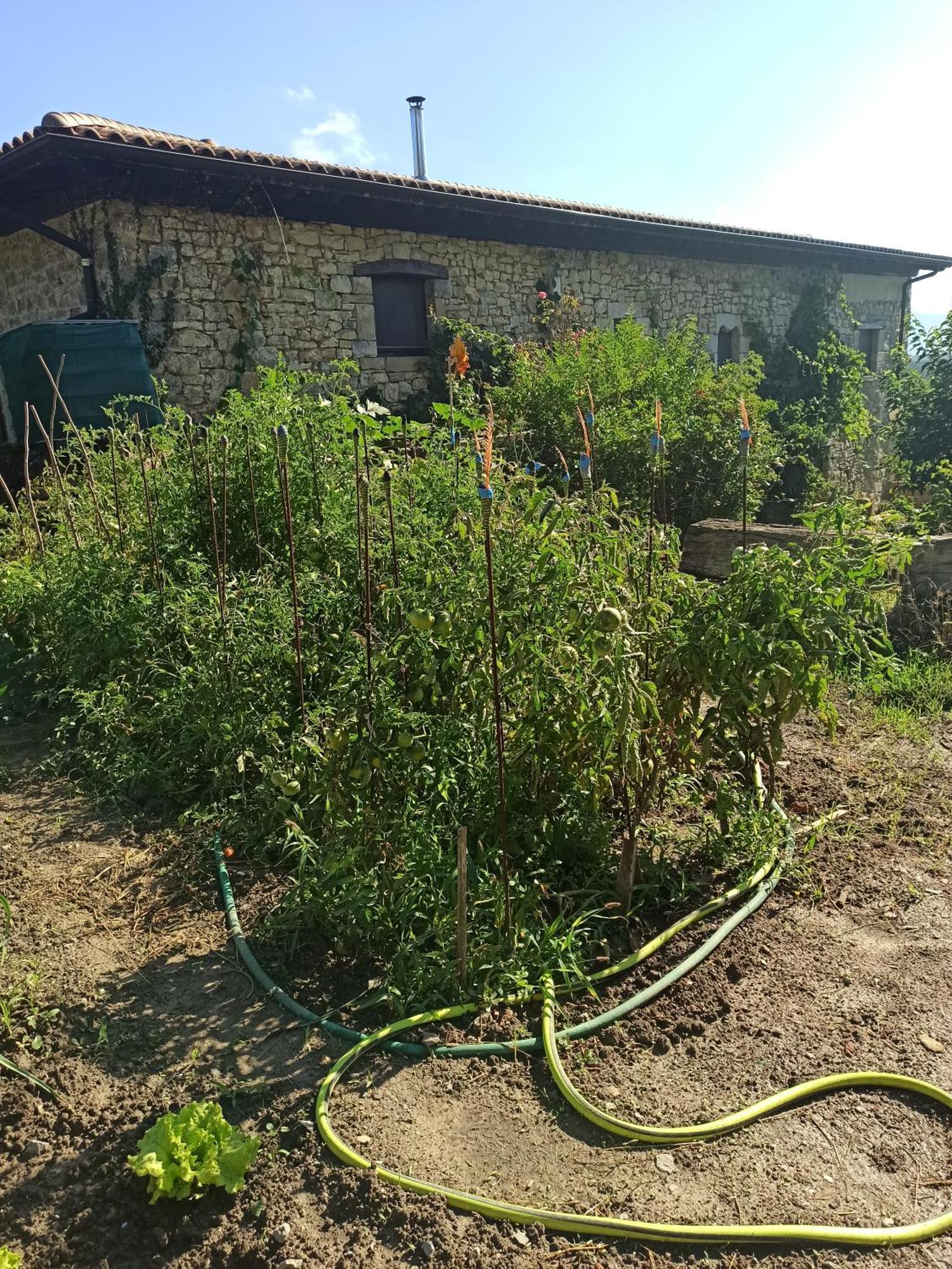 Casa Rural Ttipiaenea Landetxea Ariz  Buitenkant foto
